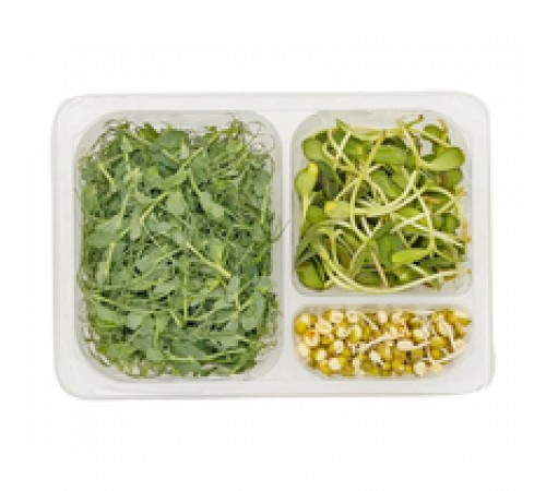 Микрозелень и проростки с машем 90гр
