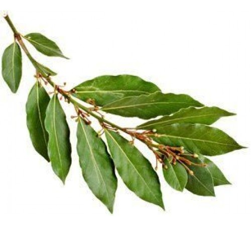 Лавровый лист пучок 1шт