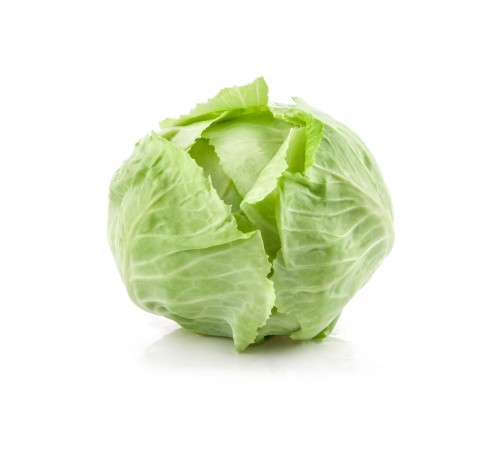 Капуста Белокочанная свежий урожай