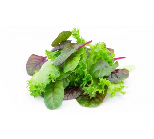 Салат микс Мангольд+Руккола 100 гр
