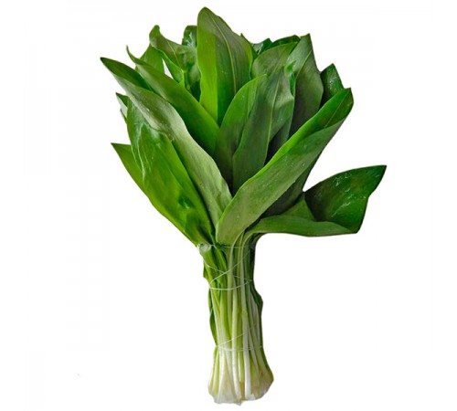 Черемша пучок
