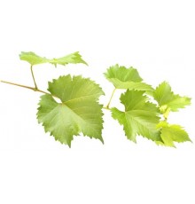 Лист виноградный 0,7л с/б Эко Продукт
