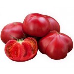 Томаты Узбекистан