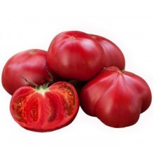 Томаты Узбекистан