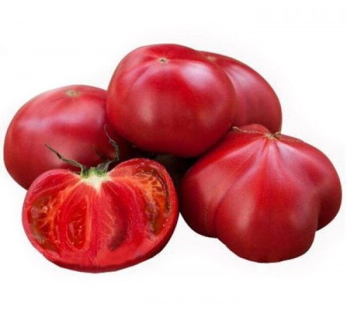 Томаты Узбекистан