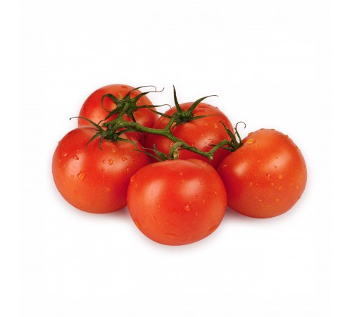 Томаты на ветке
