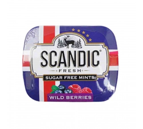 Леденцы Лесные ягоды Scandic 14гр