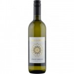 Вино Пино Гриджио Терре Дельи Оши Гаетано белое сухое 11,7% 0,75