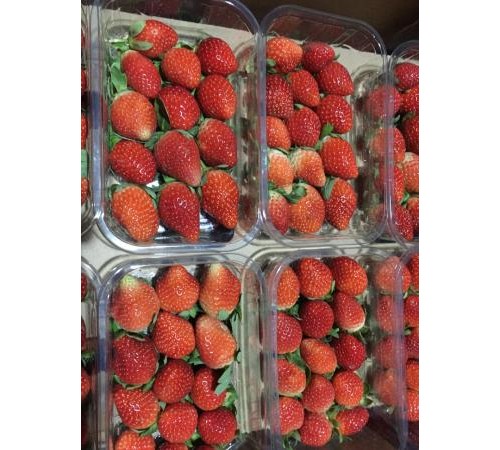 Клубника 300 гр Египет