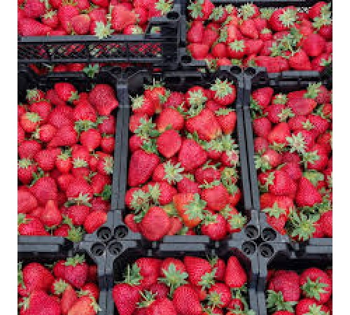 Клубника ящик 2 кг
