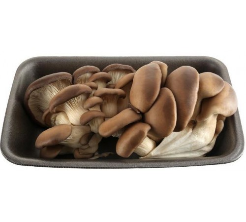 Вешенка свежая на подложке 300г
