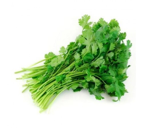 Кинза тепличная
