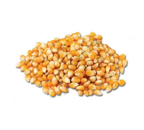 Зерно кукурузы для ПопКорна 250 гр
