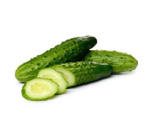 Огурец пчелоопыляемый Мистер Грин 600 гр