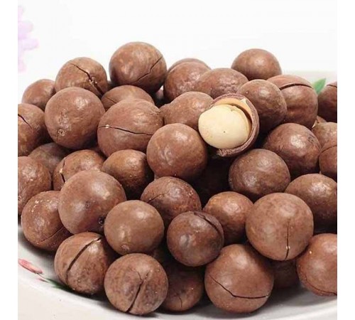 Орех Макадамия