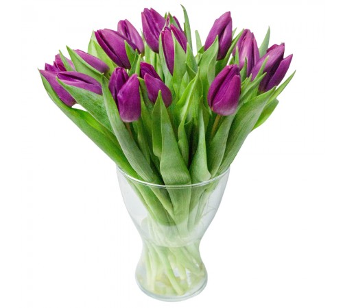 Букет тюльпаны 15шт