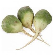 Редька зеленая
