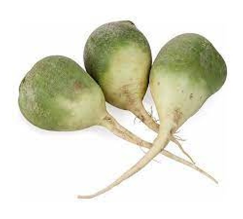 Редька зеленая
