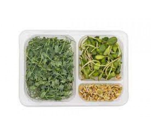 Микрозелень и проростки с чечевицей 95гр
