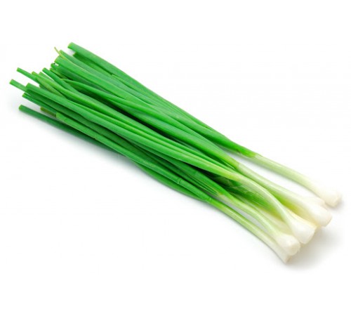 Лук зеленый