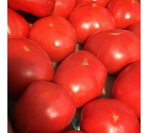 Томаты Чечня 1кг
