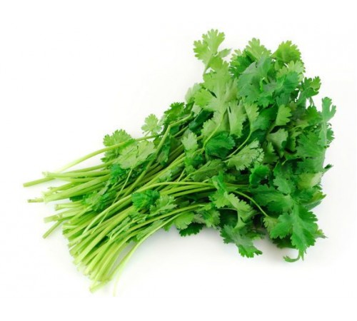 Кинза весовая
