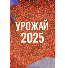 Брусника замороженная 1кг