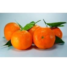 Мандарины