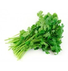 Кинза весовая