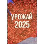 Брусника замороженная 1кг