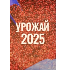 Брусника замороженная 1кг